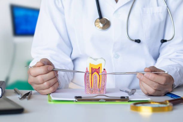 Best Urgent Tooth Repair  in Crowley Lake, CA